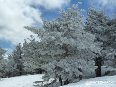 Siete Picos - Parque Nacional Cumbres del Guadarrama;senderismo sierra de madrid el tiemblo castaña